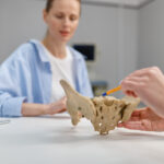 Osteoporoza: Cichy złodziej kości | Cogito Edu - Cogito Med